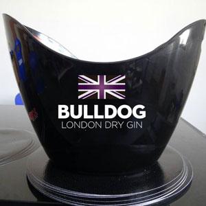 Plastic ice bucket with handle